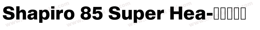 Shapiro 85 Super Hea字体转换